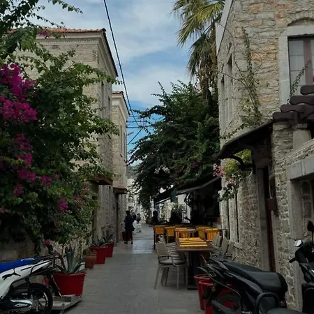 Chakra Boutique בודרום